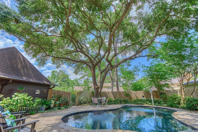 view of swimming pool with a patio and a fenced backyard