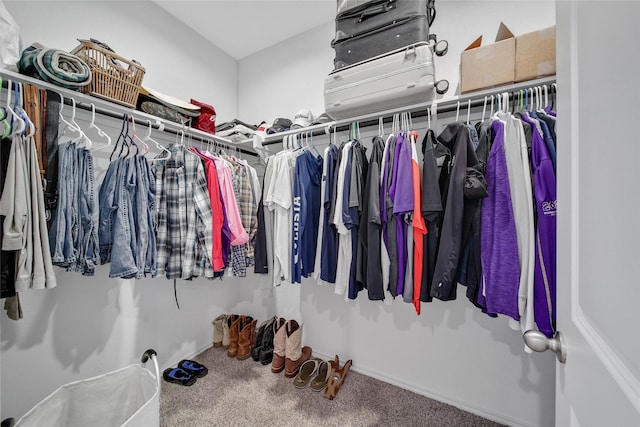 walk in closet with carpet