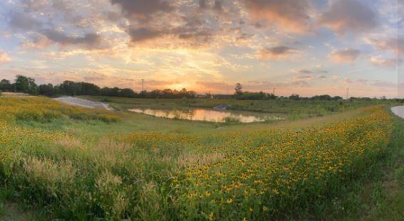 nature at dusk featuring a water view