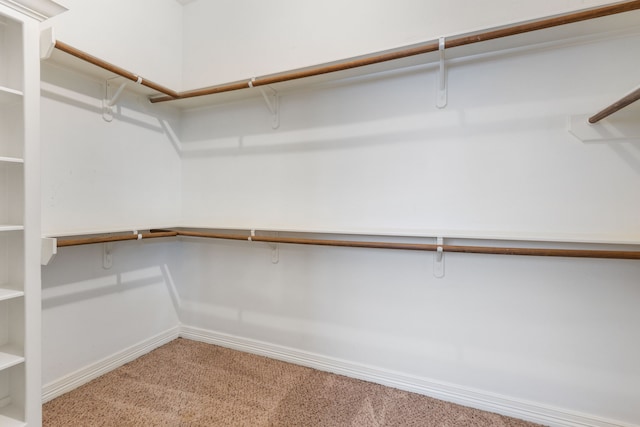 walk in closet with carpet floors