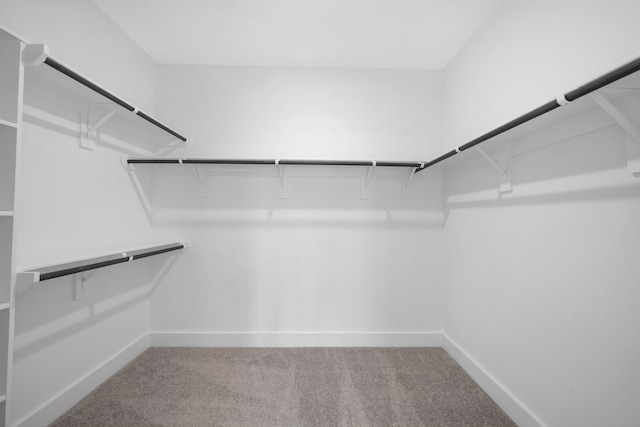 21705 Southern Valley Ln, New Caney, TX 77357 - spacious closet with carpet flooring