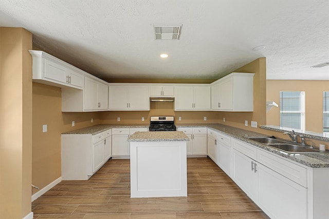 6326 Nullarbor Ct, Katy, TX 77449 - photo 8