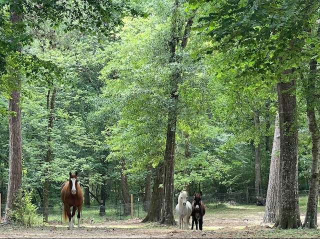 0 Mill Creek Rd, Magnolia, TX 77354