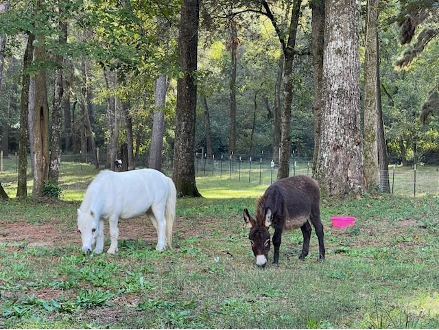 0 Mill Creek Rd, Magnolia, TX 77354