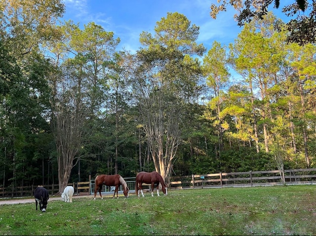 0 Mill Creek Rd, Magnolia, TX 77354