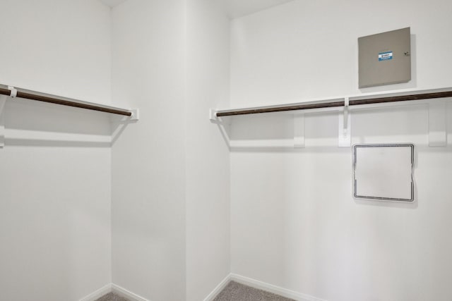21806 Ash Cypress Ct, Cypress, TX 77433 - spacious closet with carpet flooring