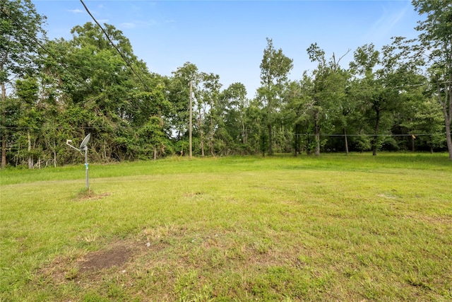139 Holly Rdg, Onalaska, TX 77360 - view of grassy yard