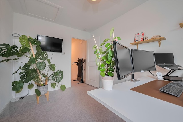 carpeted office space with attic access