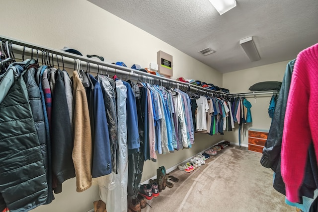 20703 Fawn Timber Trl, Humble, TX 77346 - spacious closet with carpet floors