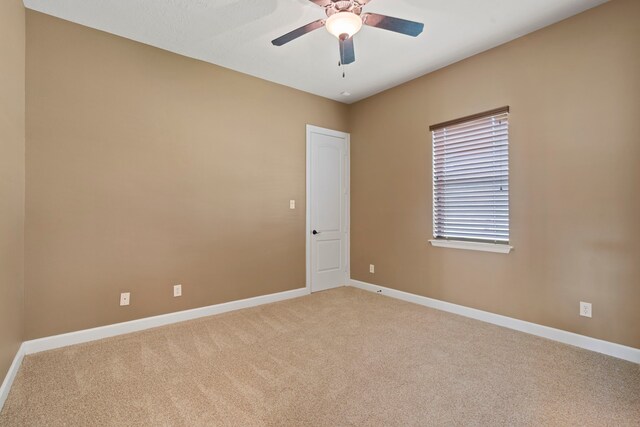 9103 Jeske Rd, Needville, TX 77461 - photo 19