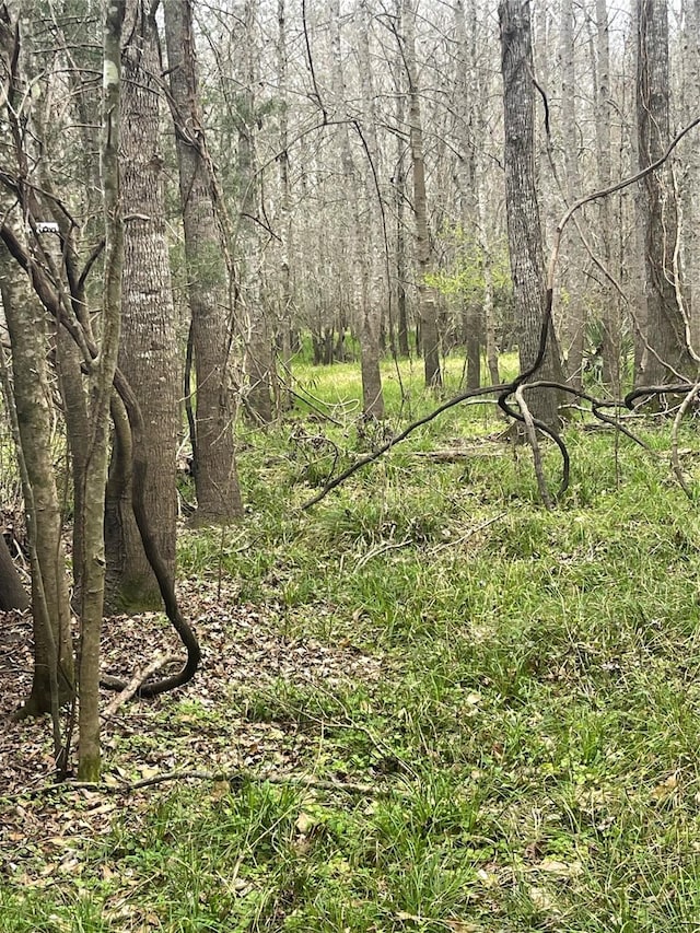 TBD County Road 2505, Liberty, TX 77575 - photo 2