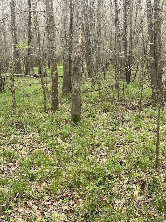 264 County Road 2505, Liberty, TX 77575 - photo 6