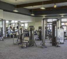 19219 S Cottonwood Green Ln, Cypress, TX 77433 - exercise room featuring beam ceiling and healthy amount of natural light