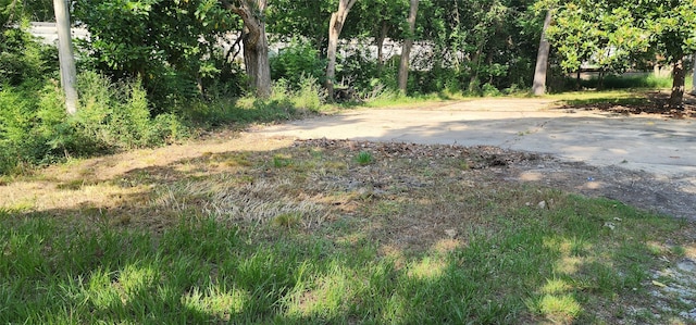 101 Grant St, Alvin, TX 77511 - photo 4