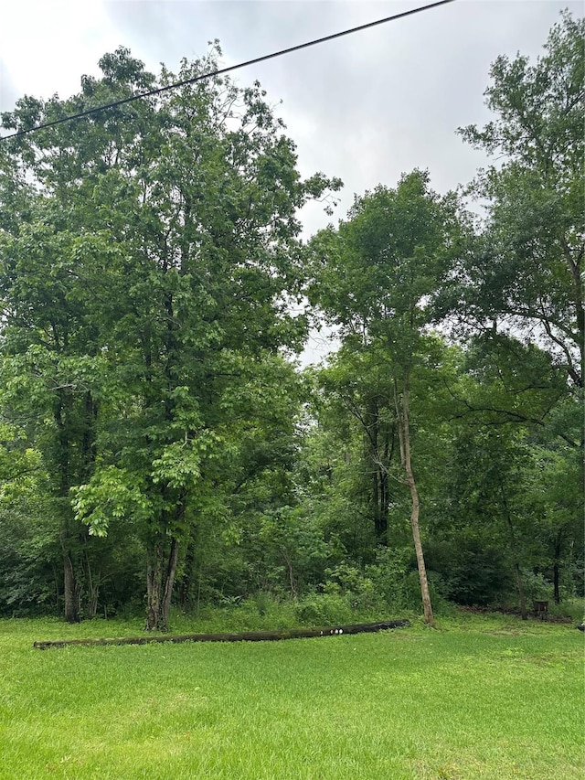 TBDLOT32 Whippoorwill Ln, Point Blank, TX 77364