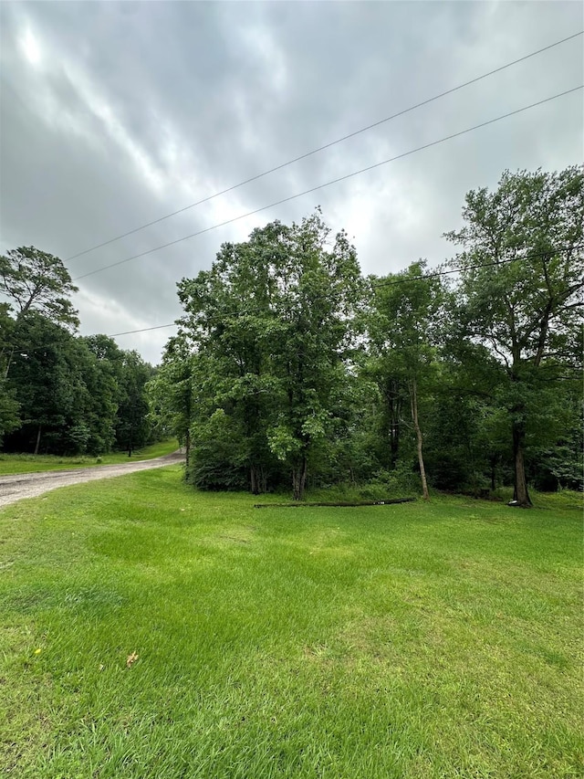TBDLOT32 Whippoorwill Ln, Point Blank, TX 77364