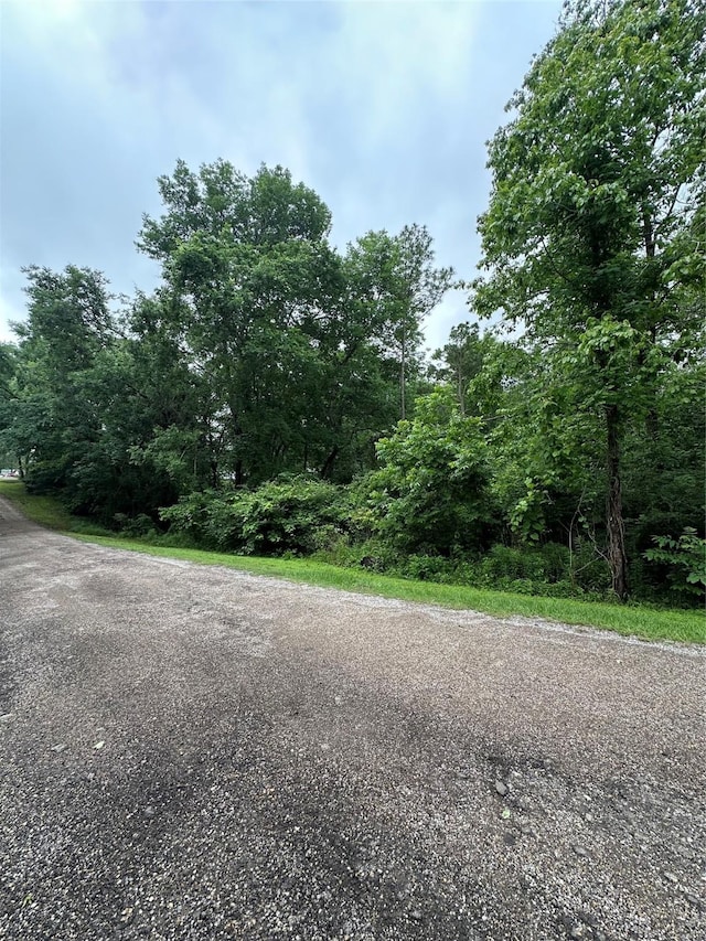 TBDLOT32 Whippoorwill Ln, Point Blank, TX 77364