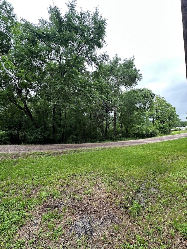 TBDLOT32 Whippoorwill Ln, Point Blank, TX 77364