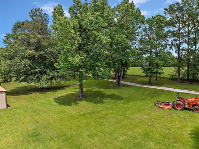 12392 Fm 355, Trinity, TX 75862 - view of green lawn