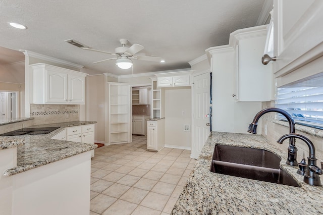 341 Sam, Houston Loop, Point Blank, TX 77364 - kitchen featuring a sink, a ceiling fan, light stone countertops, decorative backsplash, and crown molding