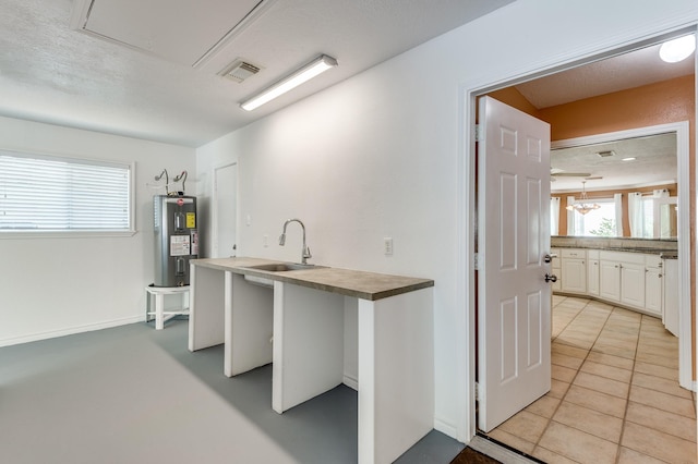 341 Sam, Houston Loop, Point Blank, TX 77364 - washroom featuring water heater, a sink, and plenty of natural light