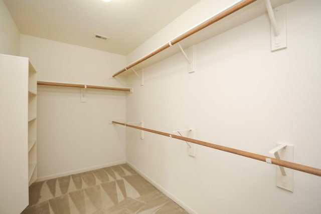 2202 Sugar Hill Dr, Deer Park, TX 77536 - walk in closet with light carpet