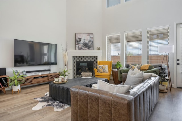 7507 Zion Grove Ct, Katy, TX 77493 - living room with wood finished floors, a fireplace, and a high ceiling