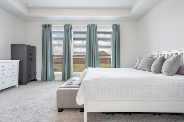 7507 Zion Grove Ct, Katy, TX 77493 - bedroom with multiple windows, light carpet, and a raised ceiling