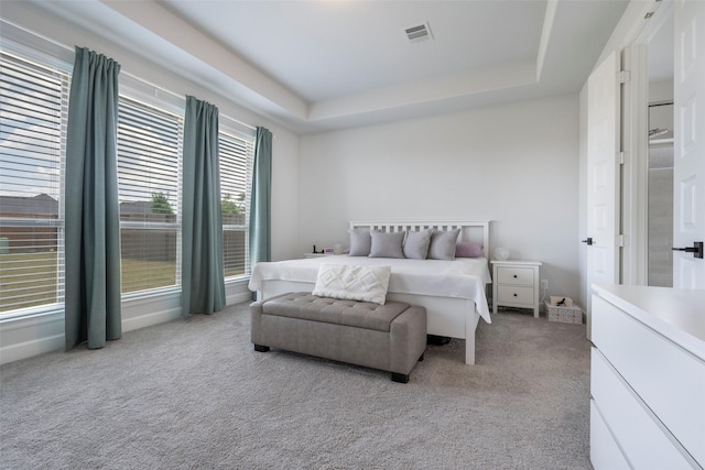 7507 Zion Grove Ct, Katy, TX 77493 - bedroom with light carpet and a raised ceiling