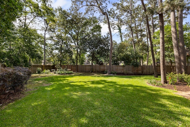 5407 Westminister Ct, Houston, TX 77069 - view of yard