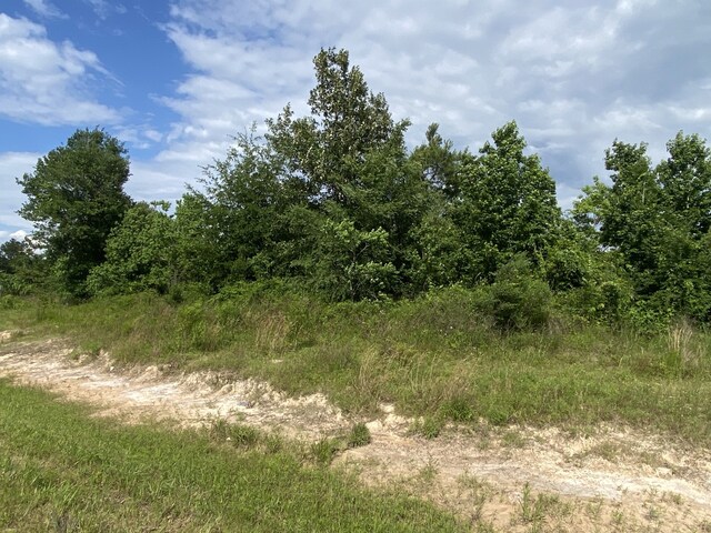 129 Rd 5262, Cleveland, TX 77327