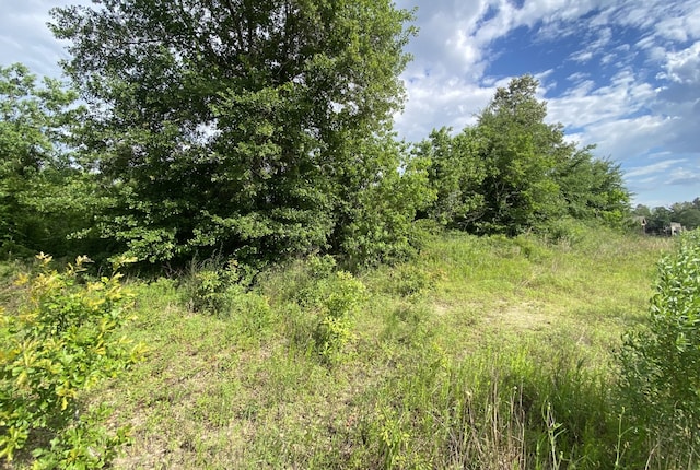 129 Rd 5262, Cleveland, TX 77327