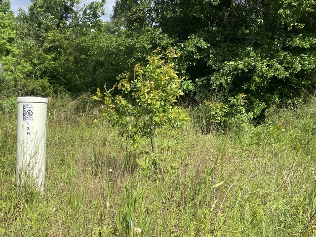 129 Rd 5262, Cleveland, TX 77327