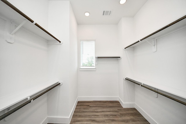 spacious closet featuring dark wood-style flooring