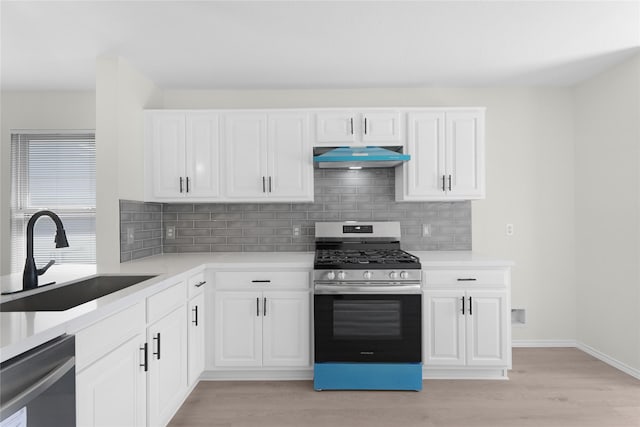 11339 Log Cabin Ln, Tomball, TX 77375 - kitchen featuring stainless steel appliances, a sink, under cabinet range hood, light wood-style flooring, and tasteful backsplash