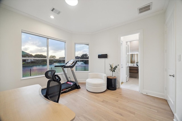 22 Berenger Pl, Sugar Land, TX 77479 - workout area featuring crown molding, light wood-type flooring, plenty of natural light, recessed lighting, and baseboards