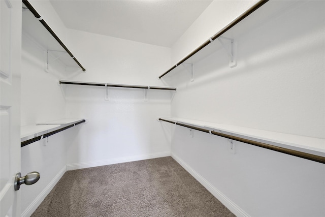 18323 Parkview Point Dr, Houston, TX 77094 - spacious closet with carpet