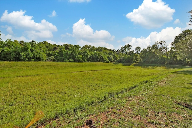 18323 Parkview Point Dr, Houston, TX 77094 - view of tree filled area