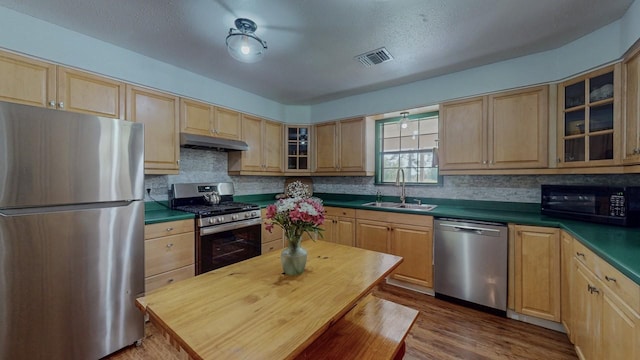 129 County Road 2063, Hull, TX 77564 - kitchen featuring appliances with stainless steel finishes, a sink, tasteful backsplash, dark countertops, and dark wood-style flooring