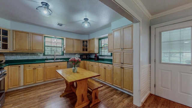 129 County Road 2063, Hull, TX 77564 - kitchen featuring a sink, dark countertops, glass insert cabinets, crown molding, and backsplash