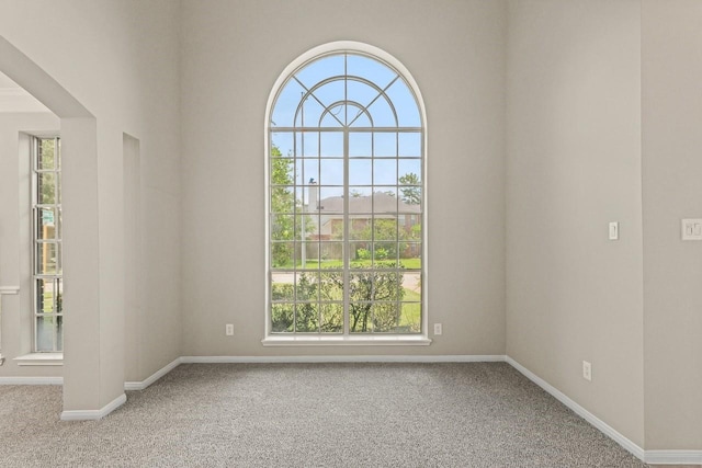 carpeted empty room with plenty of natural light and baseboards