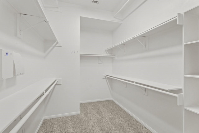 spacious closet with light carpet