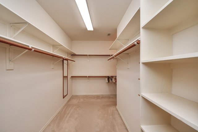 1119 Summer Brk, Sugar Land, TX 77479 - walk in closet with light carpet