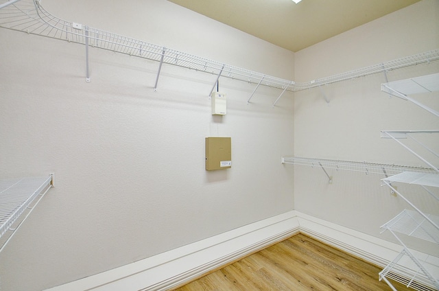 walk in closet with wood finished floors