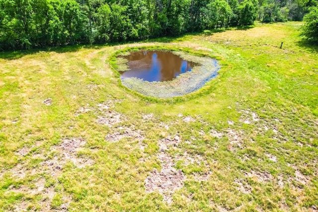 1085 Duke Rd, Kennard, TX 75847 - view of yard with a water view