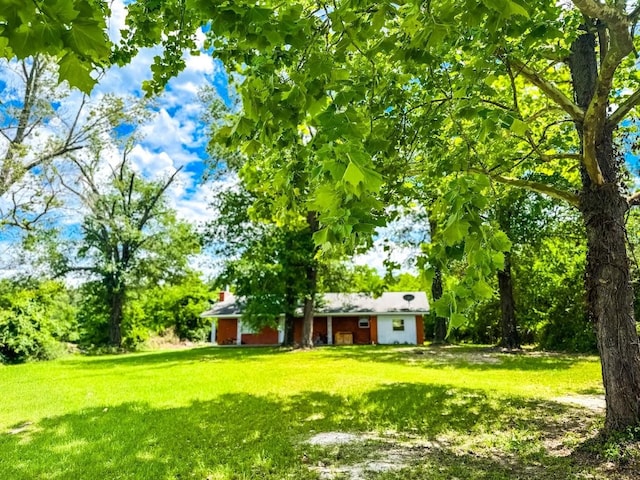 1085 Duke Rd, Kennard, TX 75847 - view of green lawn