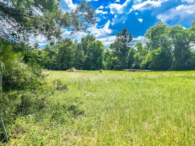 1085 Duke Rd, Kennard, TX 75847 - view of wooded area