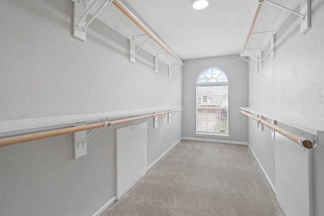 12506 Emerald Springs Dr, Pearland, TX 77584 - spacious closet with light carpet