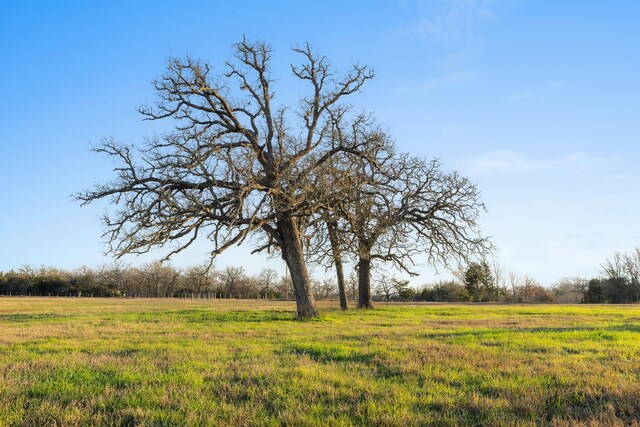 10616 County Road 410, Somerville, TX 77879 - photo 6