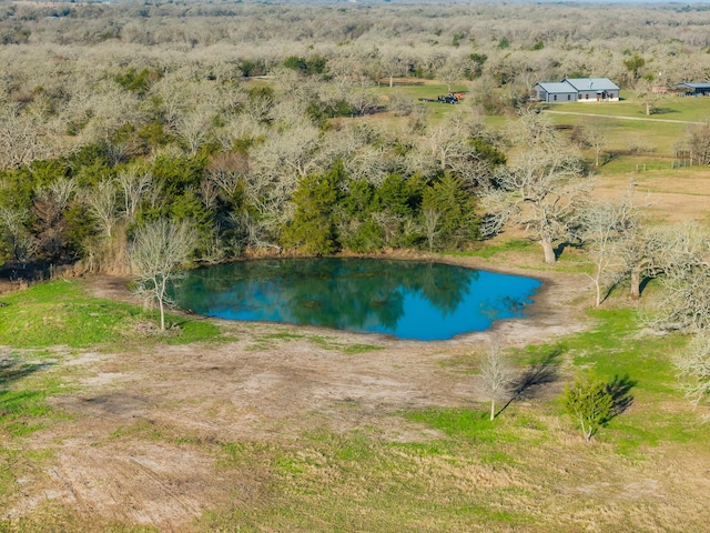 10616 County Road 410, Somerville, TX 77879 - photo 17